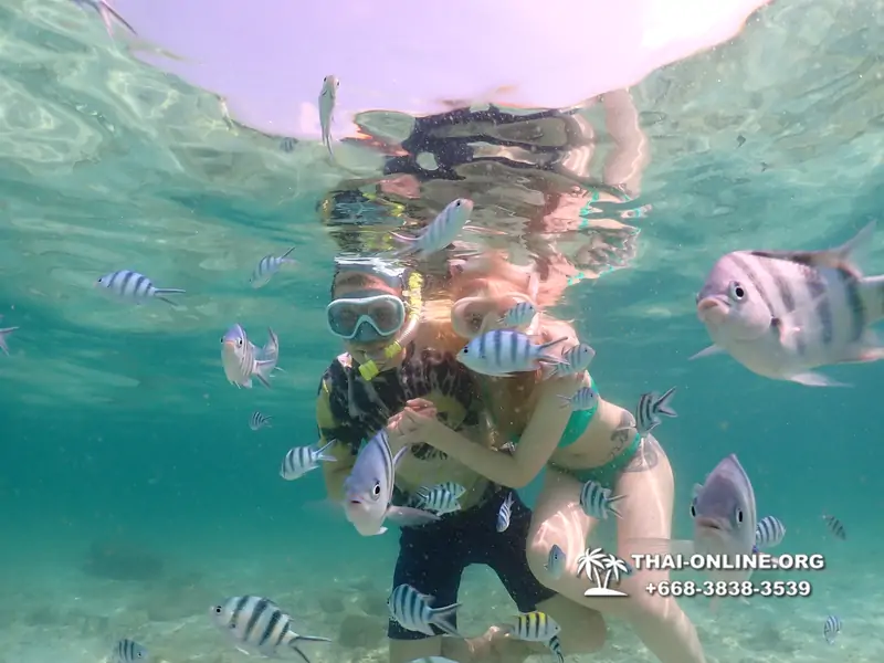 Underwater Odyssey snorkeling tour from Pattaya Thailand photo 18518