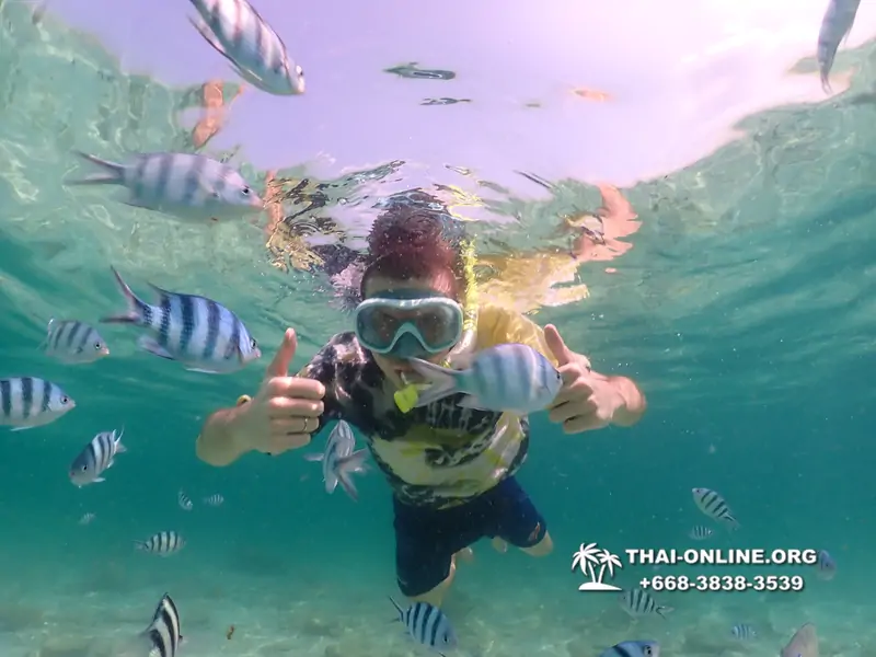 Underwater Odyssey snorkeling tour from Pattaya Thailand photo 18643