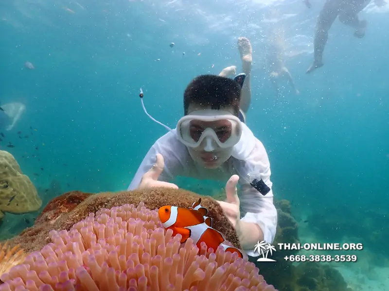 Underwater Odyssey snorkeling tour from Pattaya Thailand photo 18459