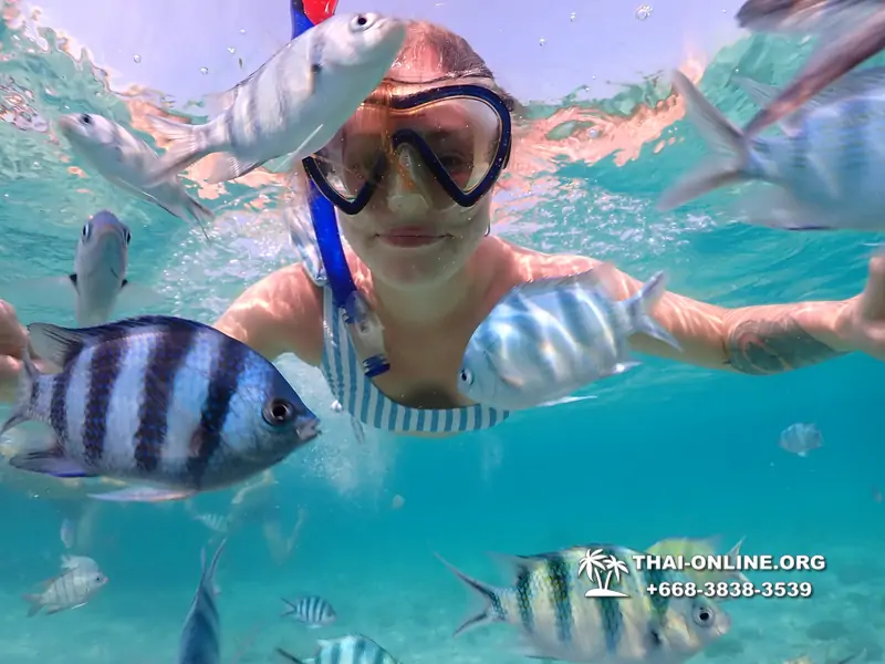Underwater Odyssey snorkeling excursion Pattaya Thailand photo 11006