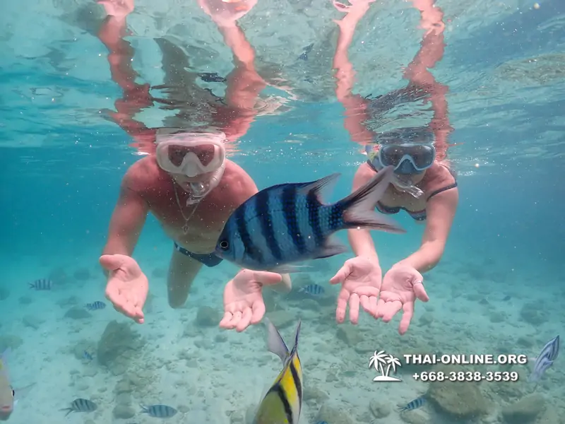 Underwater Odyssey snorkeling tour from Pattaya Thailand photo 14242