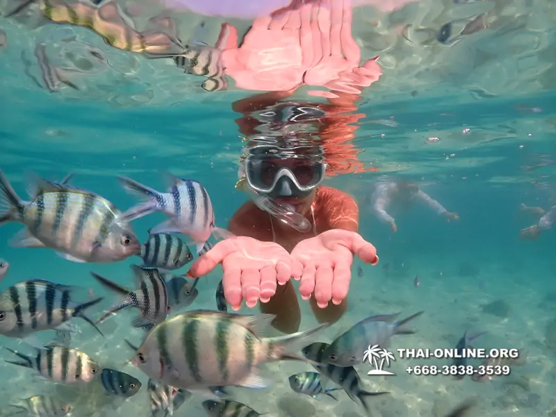 Underwater Odyssey snorkeling tour from Pattaya Thailand photo 14330