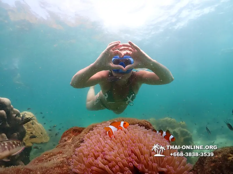 Underwater Odyssey snorkeling tour from Pattaya Thailand photo 18580