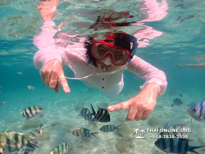 Underwater Odyssey snorkeling tour from Pattaya Thailand photo 14140