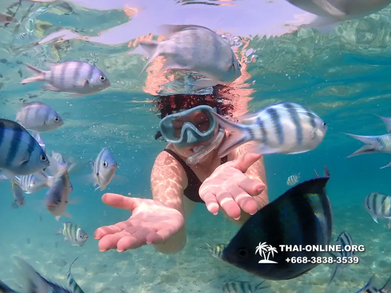 Underwater Odyssey snorkeling excursion Pattaya Thailand photo 11174