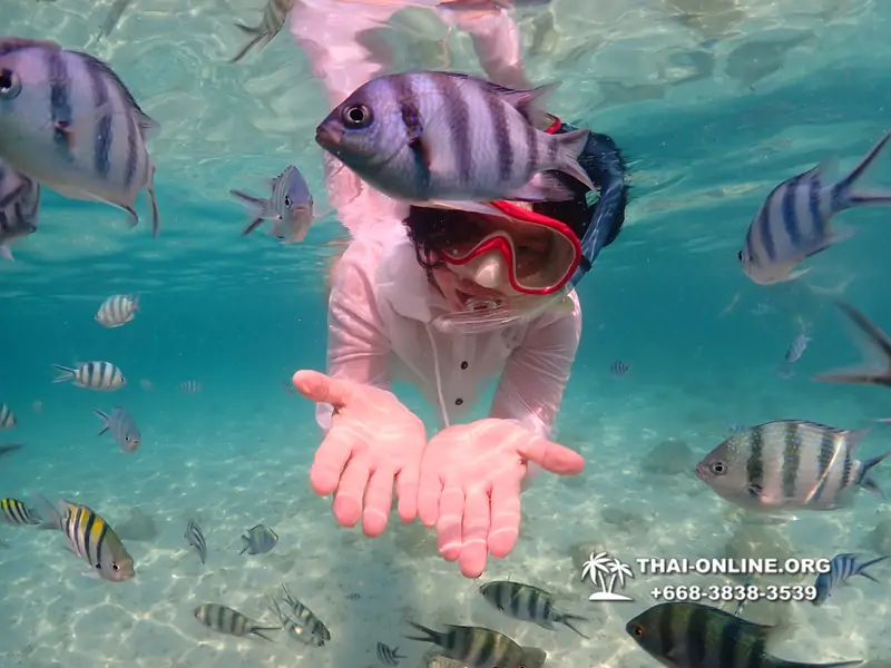 Underwater Odyssey snorkeling tour from Pattaya Thailand photo 14422