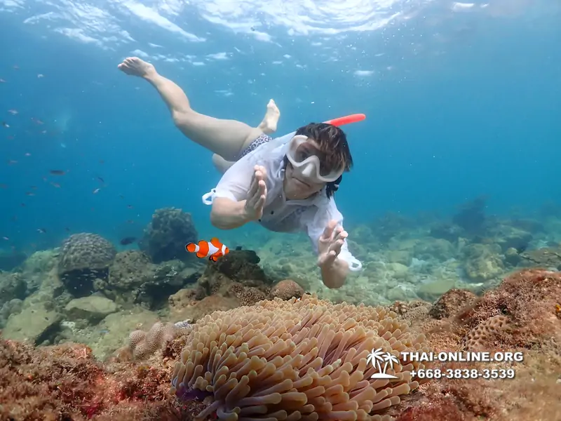 Underwater Odyssey snorkeling excursion Pattaya Thailand photo 11390