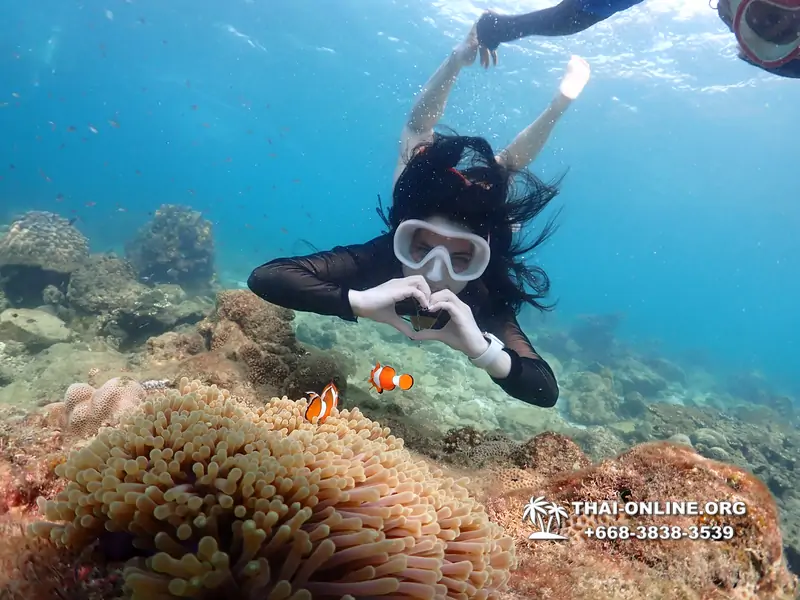 Underwater Odyssey snorkeling excursion Pattaya Thailand photo 11461