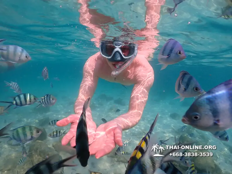 Underwater Odyssey snorkeling tour from Pattaya Thailand photo 14318