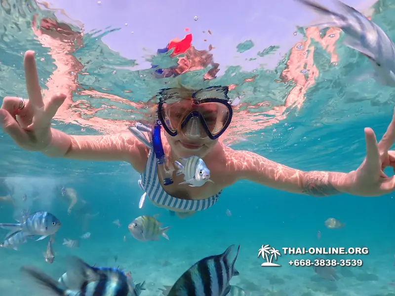Underwater Odyssey snorkeling excursion Pattaya Thailand photo 11004