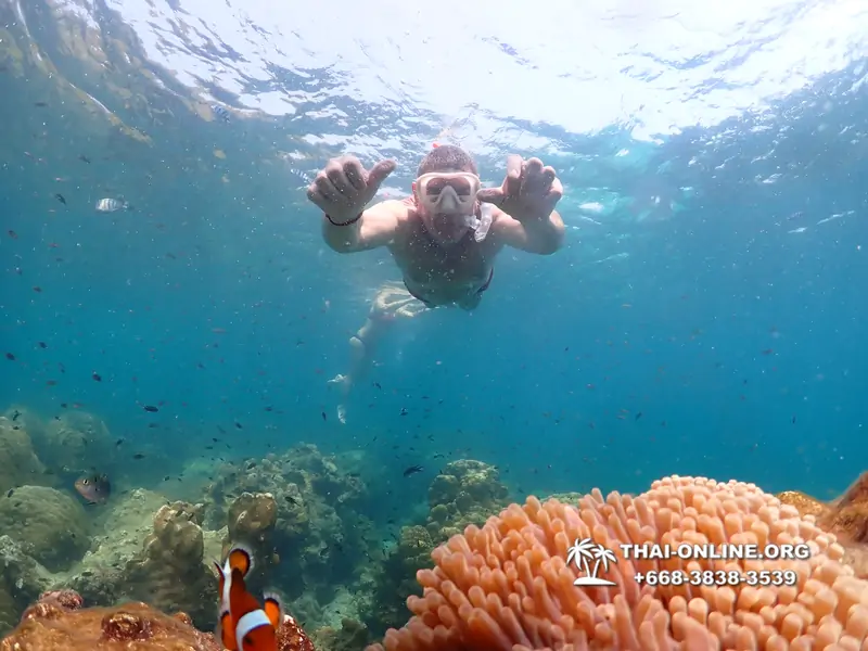 Underwater Odyssey snorkeling tour from Pattaya Thailand photo 14253