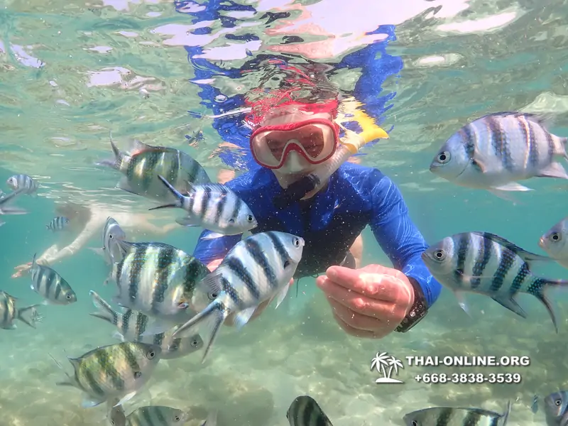 Underwater Odyssey snorkeling excursion Pattaya Thailand photo 14725