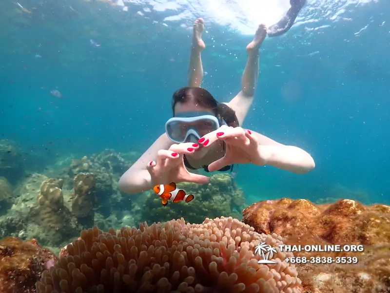 Underwater Odyssey snorkeling tour from Pattaya Thailand photo 14290