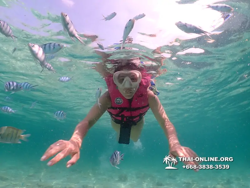 Underwater Odyssey snorkeling tour from Pattaya Thailand photo 18333