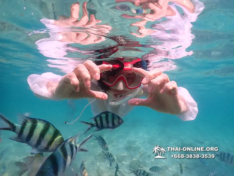 Underwater Odyssey snorkeling excursion Pattaya Thailand photo 14232