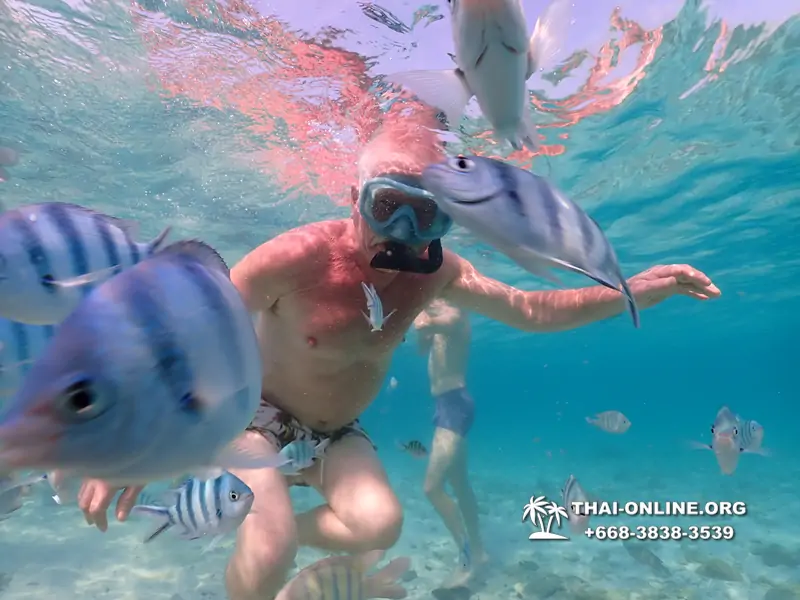 Underwater Odyssey snorkeling excursion Pattaya Thailand photo 11078
