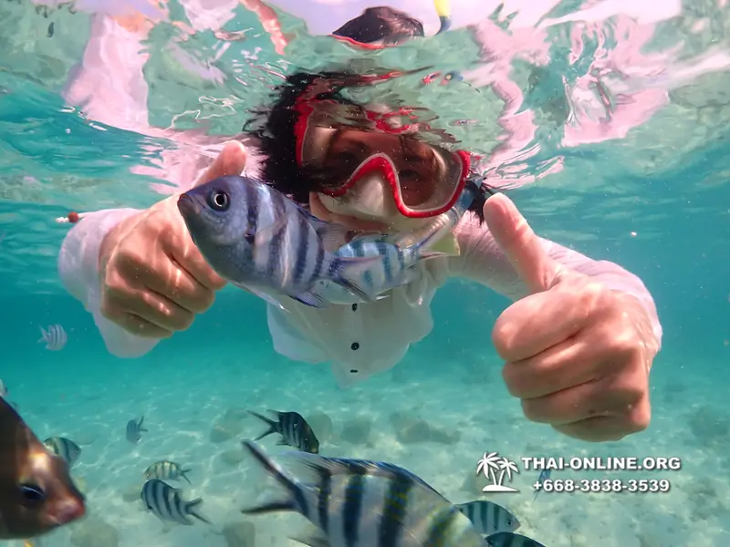 Underwater Odyssey snorkeling tour from Pattaya Thailand photo 14196