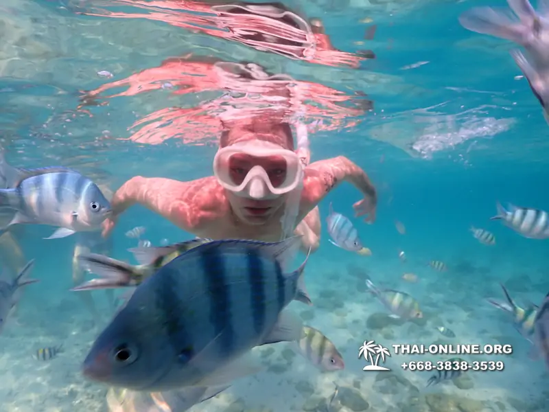 Underwater Odyssey snorkeling excursion Pattaya Thailand photo 11133