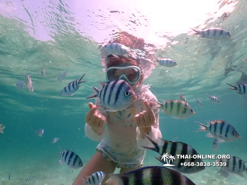 Underwater Odyssey snorkeling tour from Pattaya Thailand photo 18354