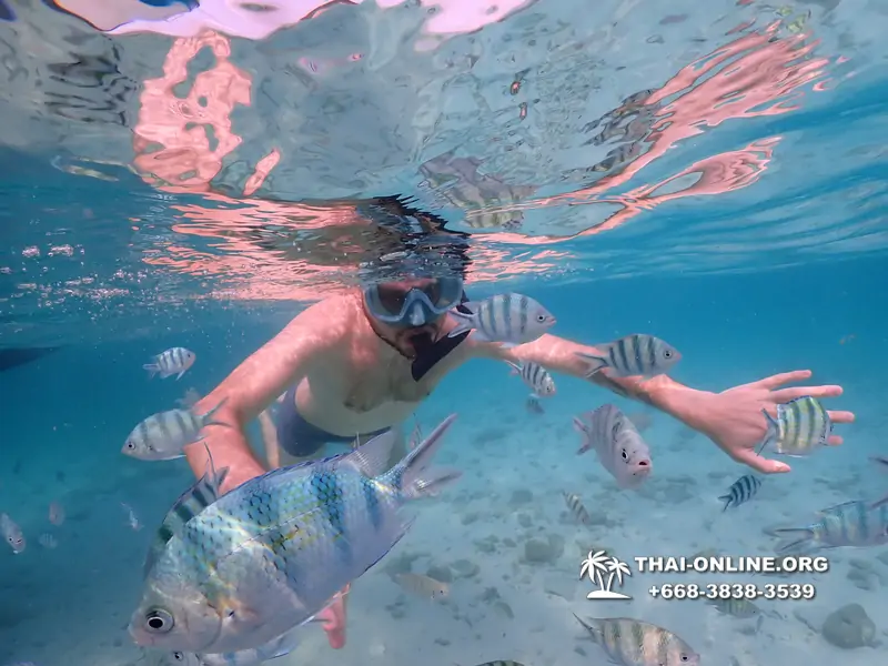 Underwater Odyssey snorkeling excursion Pattaya Thailand photo 11053