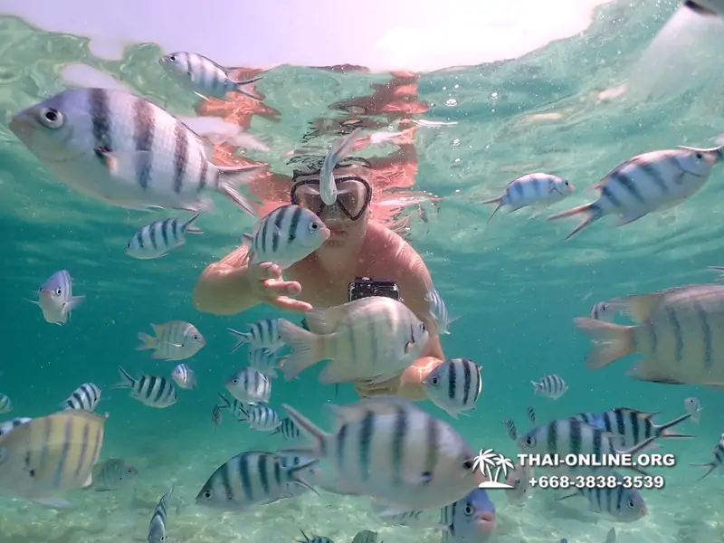 Underwater Odyssey snorkeling tour from Pattaya Thailand photo 18278