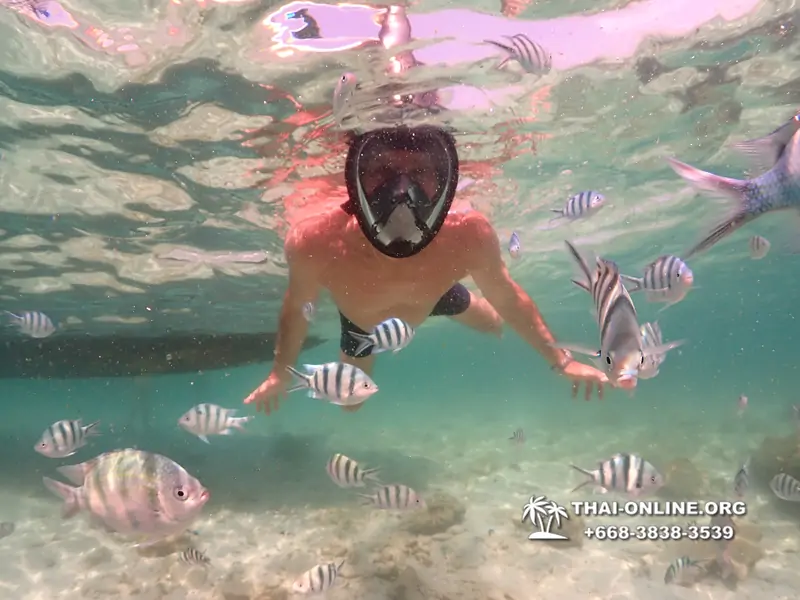 Underwater Odyssey snorkeling tour from Pattaya Thailand photo 18289