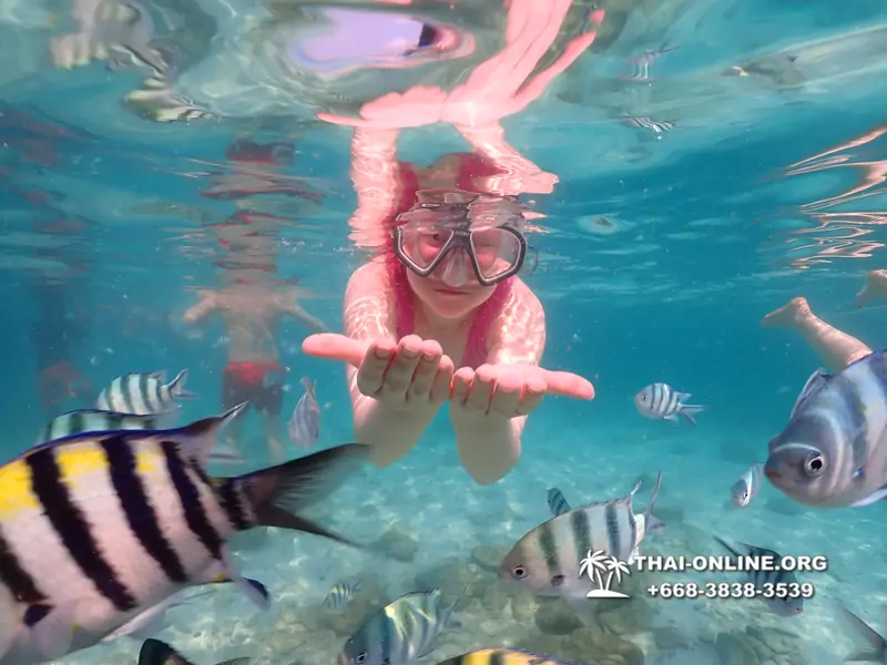 Underwater Odyssey snorkeling tour from Pattaya Thailand photo 14383