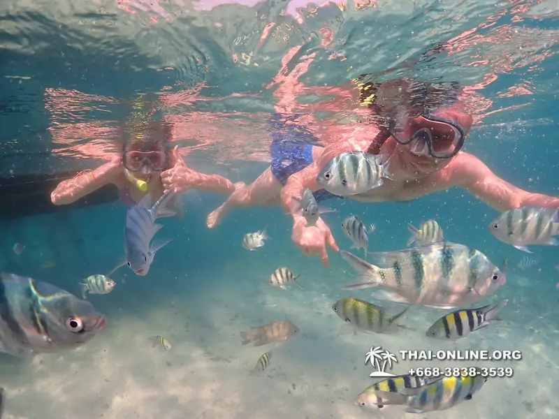 Underwater Odyssey snorkeling excursion Pattaya Thailand photo 11568