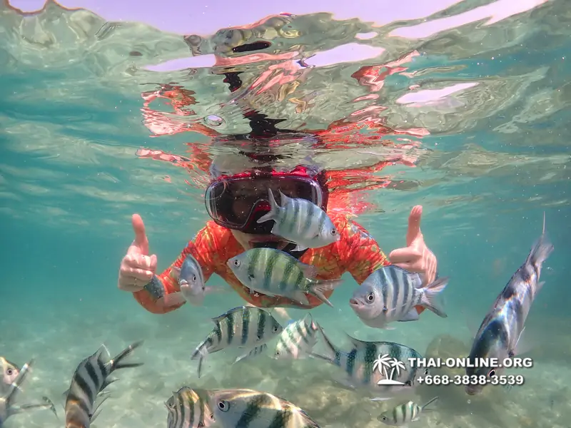 Underwater Odyssey snorkeling excursion Pattaya Thailand photo 14756