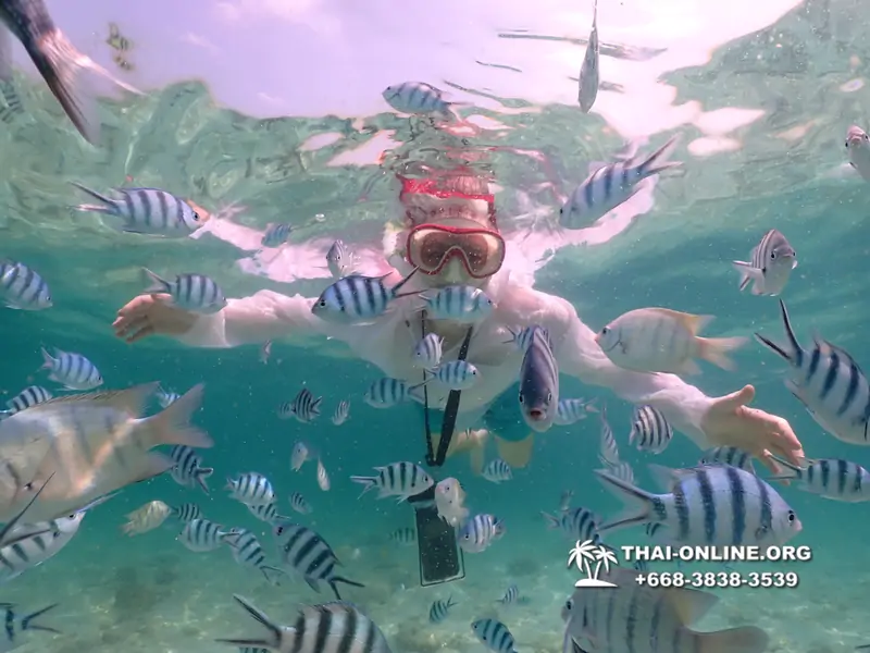 Underwater Odyssey snorkeling tour from Pattaya Thailand photo 18285