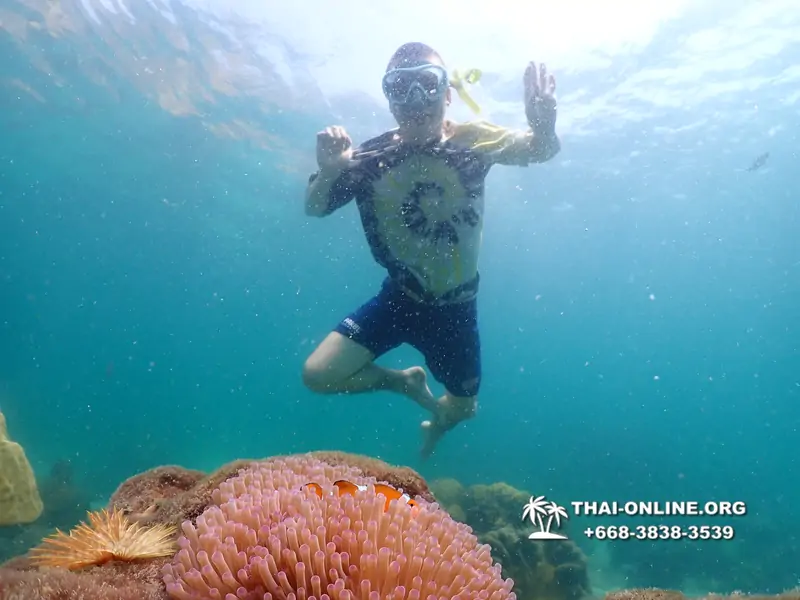 Underwater Odyssey snorkeling tour from Pattaya Thailand photo 18630