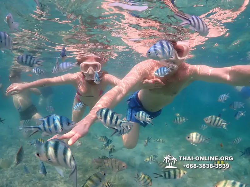 Underwater Odyssey snorkeling excursion Pattaya Thailand photo 11531