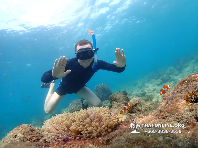 Underwater Odyssey snorkeling excursion Pattaya Thailand photo 11381