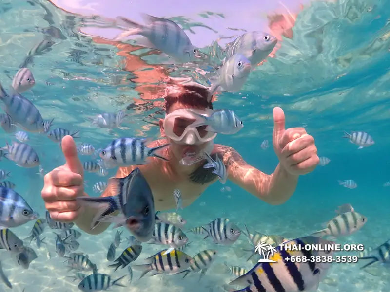 Underwater Odyssey snorkeling excursion Pattaya Thailand photo 11265