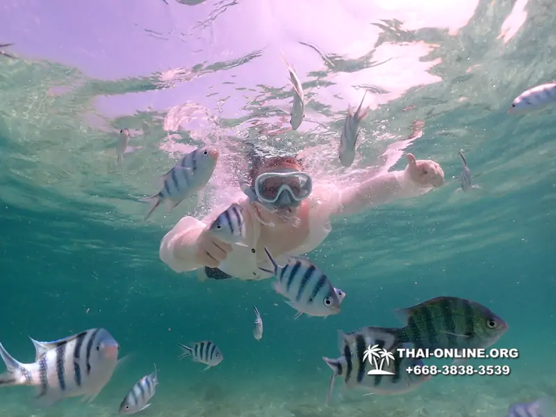 Underwater Odyssey snorkeling tour from Pattaya Thailand photo 18440