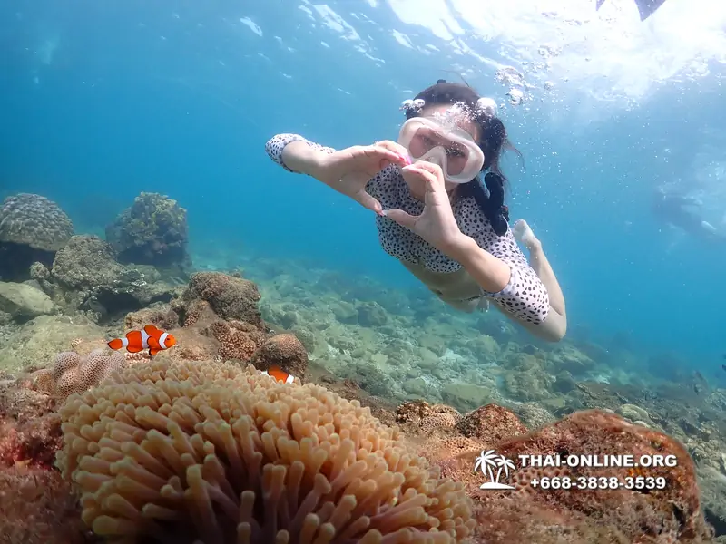 Underwater Odyssey snorkeling excursion Pattaya Thailand photo 11353
