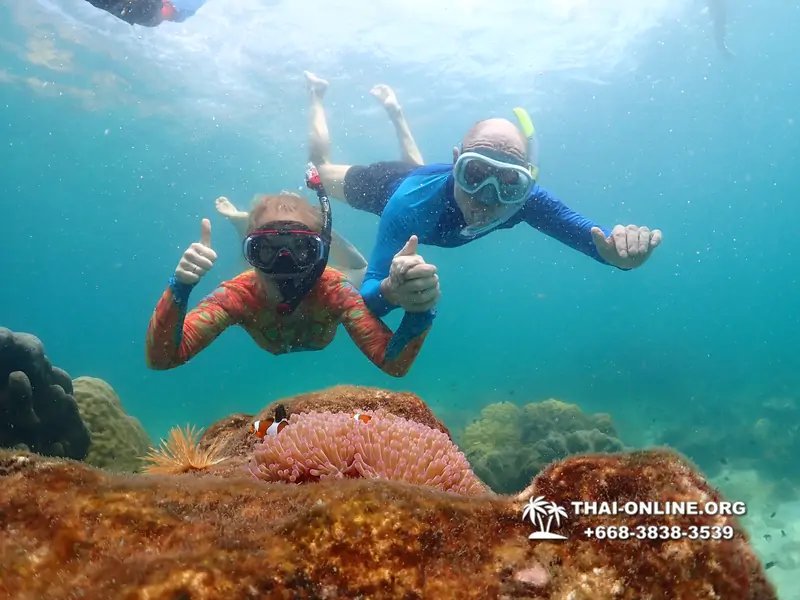 Underwater Odyssey snorkeling excursion Pattaya Thailand photo 14891