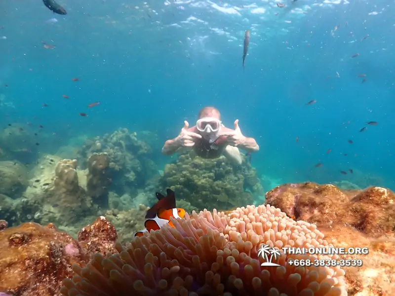 Underwater Odyssey snorkeling tour from Pattaya Thailand photo 14328