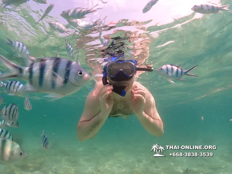 Underwater Odyssey snorkeling tour from Pattaya Thailand photo 18450