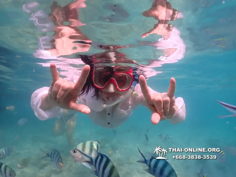 Underwater Odyssey snorkeling tour from Pattaya Thailand photo 14589