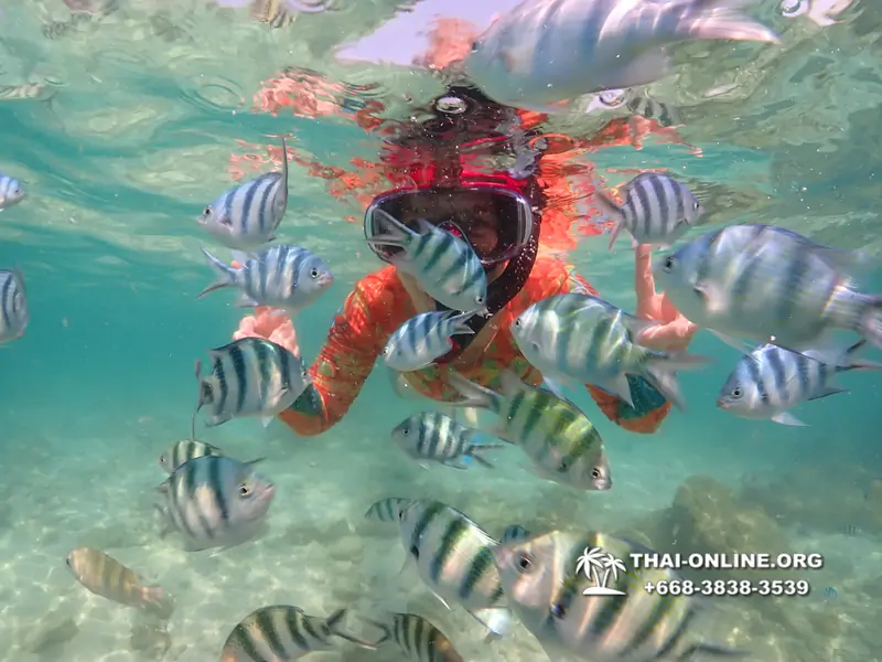 Underwater Odyssey snorkeling excursion Pattaya Thailand photo 14902