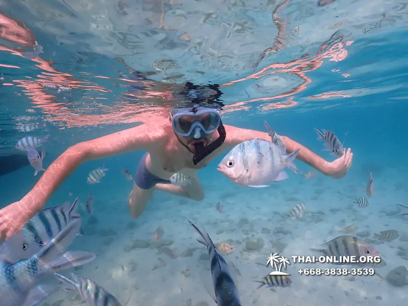 Underwater Odyssey snorkeling excursion Pattaya Thailand photo 11054
