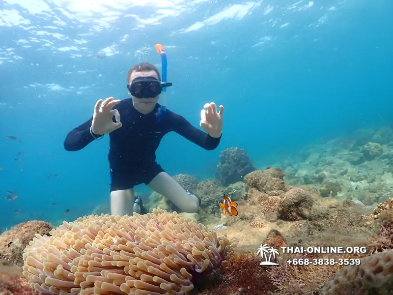Underwater Odyssey snorkeling excursion Pattaya Thailand photo 11387