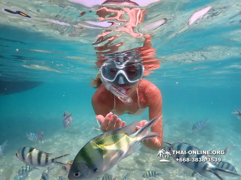 Underwater Odyssey snorkeling excursion Pattaya Thailand photo 14202