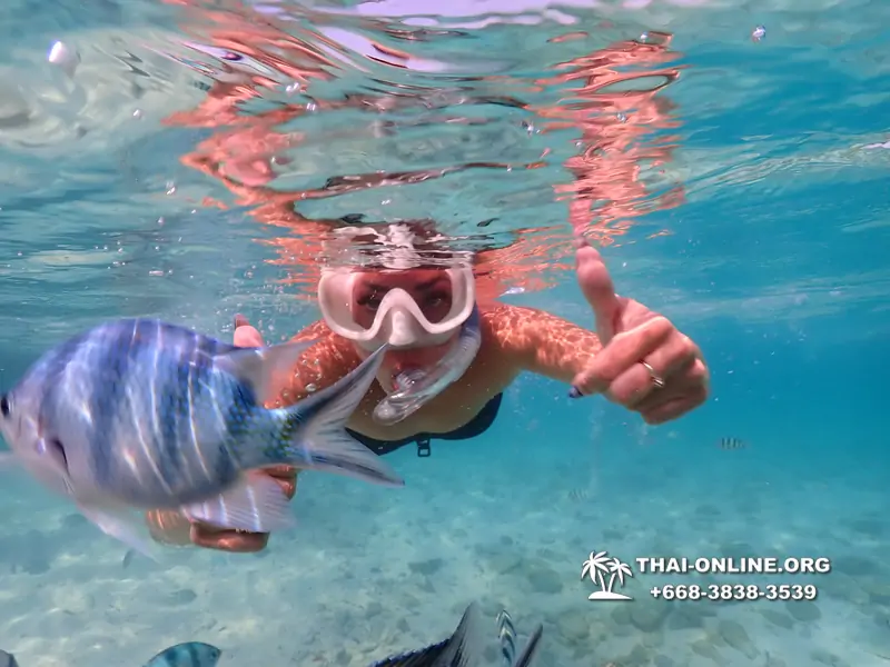 Underwater Odyssey snorkeling excursion Pattaya Thailand photo 10986