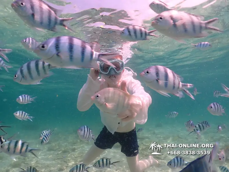 Underwater Odyssey snorkeling tour from Pattaya Thailand photo 18286