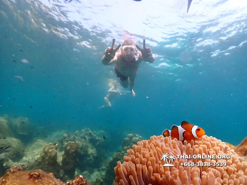 Underwater Odyssey snorkeling tour from Pattaya Thailand photo 14464