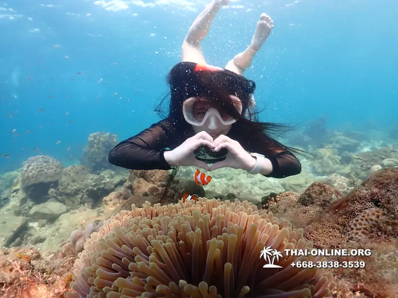 Underwater Odyssey snorkeling excursion Pattaya Thailand photo 11463