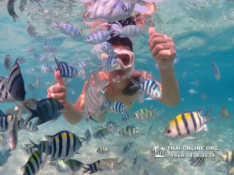 Underwater Odyssey snorkeling excursion Pattaya Thailand photo 11263