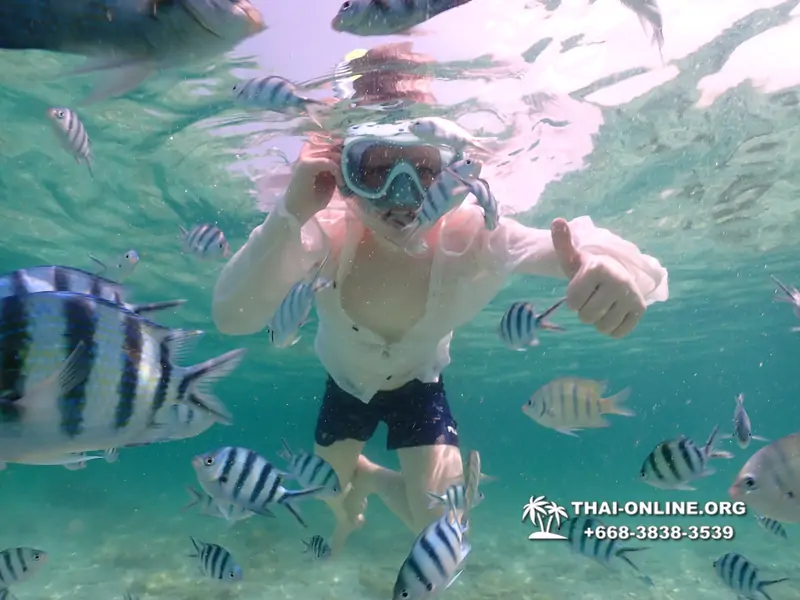 Underwater Odyssey snorkeling tour from Pattaya Thailand photo 18410